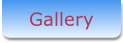 Gallery.